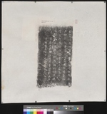 �D�n�D�W:�������s��