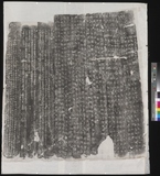 �D�n�D�W:���򳻴L�Ӫ�ù���g�l